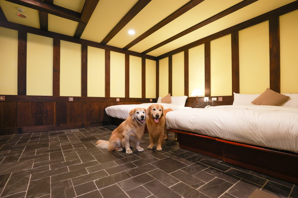 清境凡賽斯莊園 Vanse Manor|南法歐風木屋城堡 × 擁抱山嵐雲海的歐式夢幻莊園 × 寵物友善住宿推薦 × 火鍋晚餐 - 第14張圖