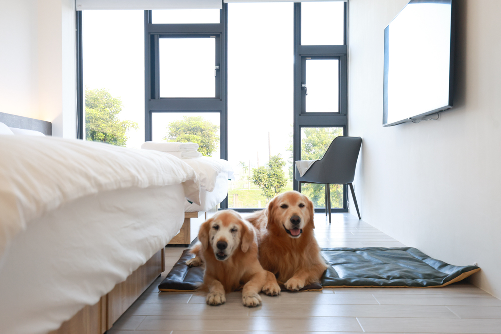 宜蘭冬山寵物友善住宿|林小狗宜蘭稻香店|270坪大草皮+純白質感民宿+狗狗最愛的大草皮民宿+寵物友善民宿推薦 - 第24張圖