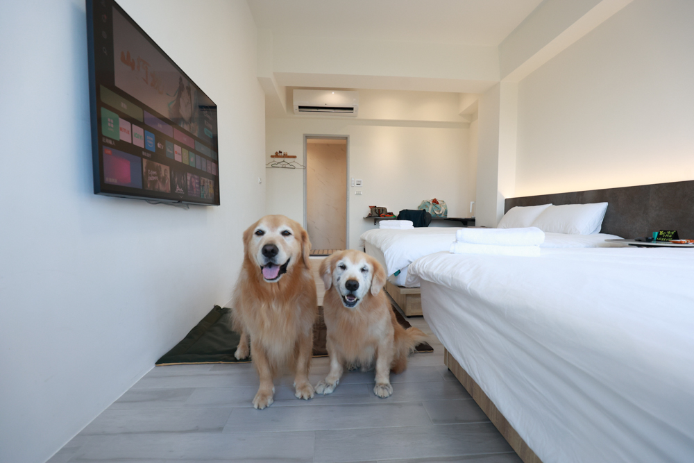 宜蘭冬山寵物友善住宿|林小狗宜蘭稻香店|270坪大草皮+純白質感民宿+狗狗最愛的大草皮民宿+寵物友善民宿推薦 - 第26張圖