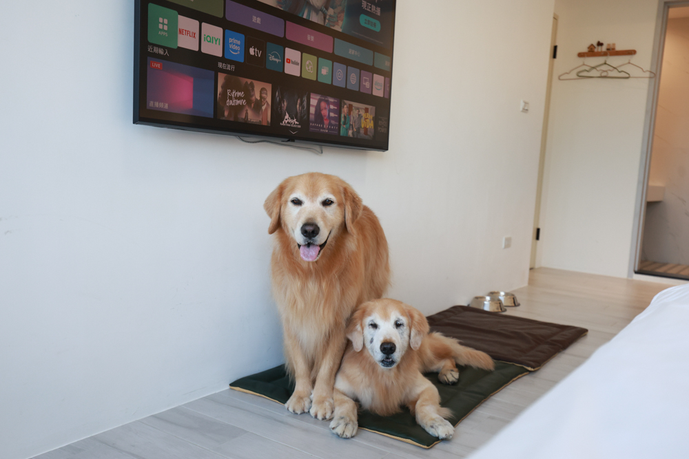 宜蘭冬山寵物友善住宿|林小狗宜蘭稻香店|270坪大草皮+純白質感民宿+狗狗最愛的大草皮民宿+寵物友善民宿推薦 - 第28張圖