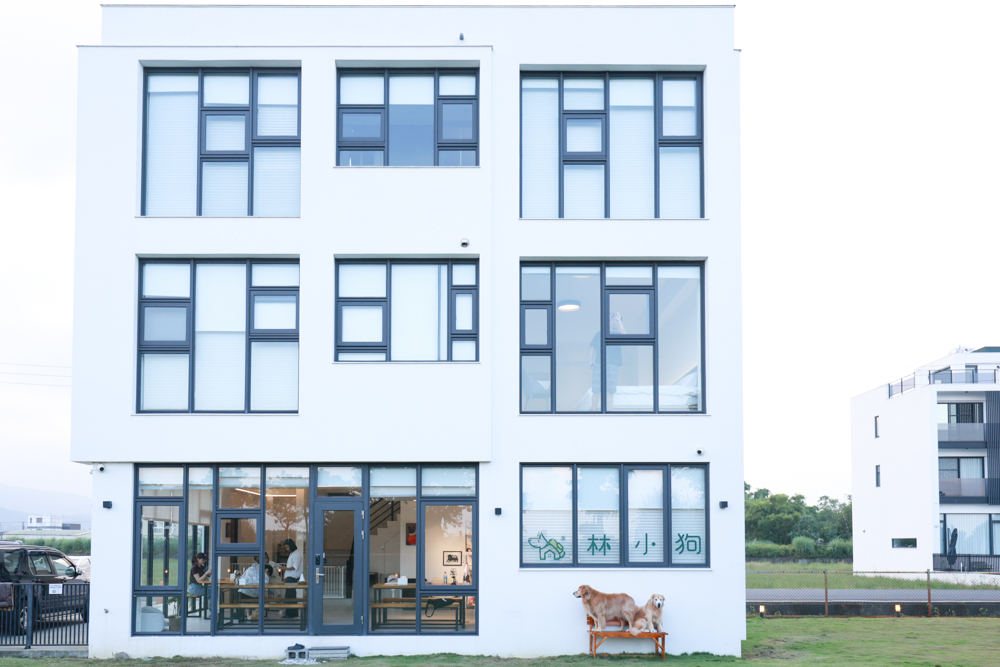 宜蘭冬山寵物友善住宿|林小狗宜蘭稻香店|270坪大草皮+純白質感民宿+狗狗最愛的大草皮民宿+寵物友善民宿推薦 - 第5張圖