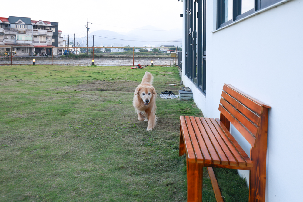 宜蘭冬山寵物友善住宿|林小狗宜蘭稻香店|270坪大草皮+純白質感民宿+狗狗最愛的大草皮民宿+寵物友善民宿推薦 - 第3張圖