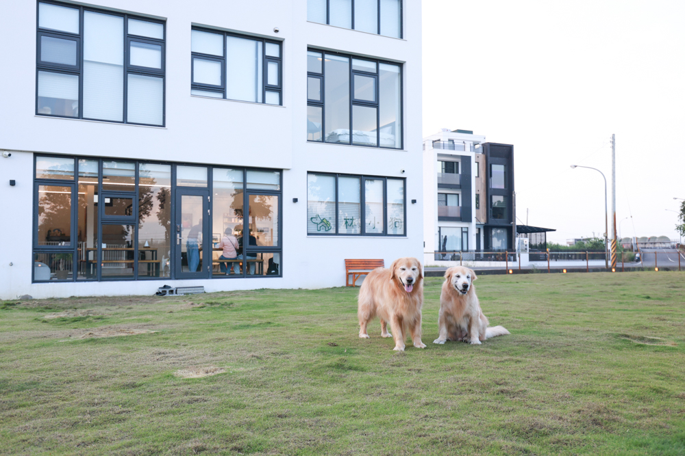 宜蘭冬山寵物友善住宿|林小狗宜蘭稻香店|270坪大草皮+純白質感民宿+狗狗最愛的大草皮民宿+寵物友善民宿推薦 - 第6張圖