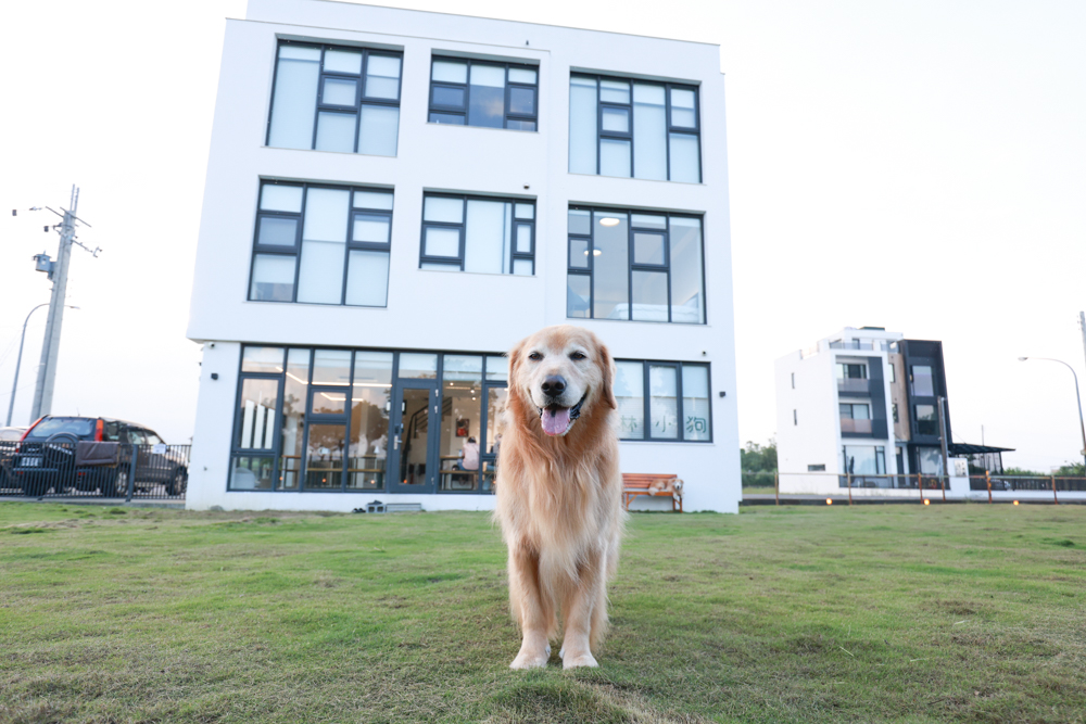 宜蘭冬山寵物友善住宿|林小狗宜蘭稻香店|270坪大草皮+純白質感民宿+狗狗最愛的大草皮民宿+寵物友善民宿推薦 - 第4張圖