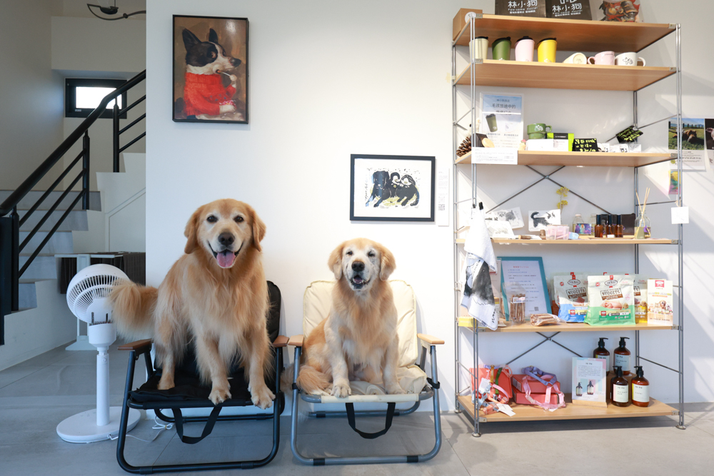 宜蘭冬山寵物友善住宿|林小狗宜蘭稻香店|270坪大草皮+純白質感民宿+狗狗最愛的大草皮民宿+寵物友善民宿推薦 - 第16張圖