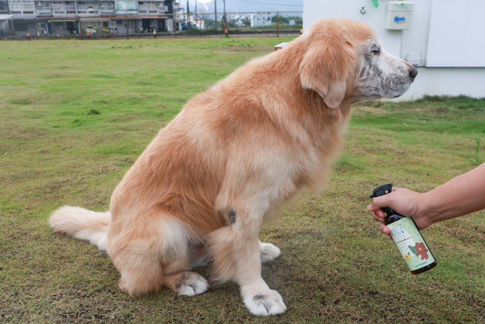 寵物洗毛精、狗狗防蚊蚤噴霧推薦｜叮寧PETS淨味洗毛精＋抗菌洗毛精＋寵物防蚊蚤噴霧！天然配方狗狗也能安心
