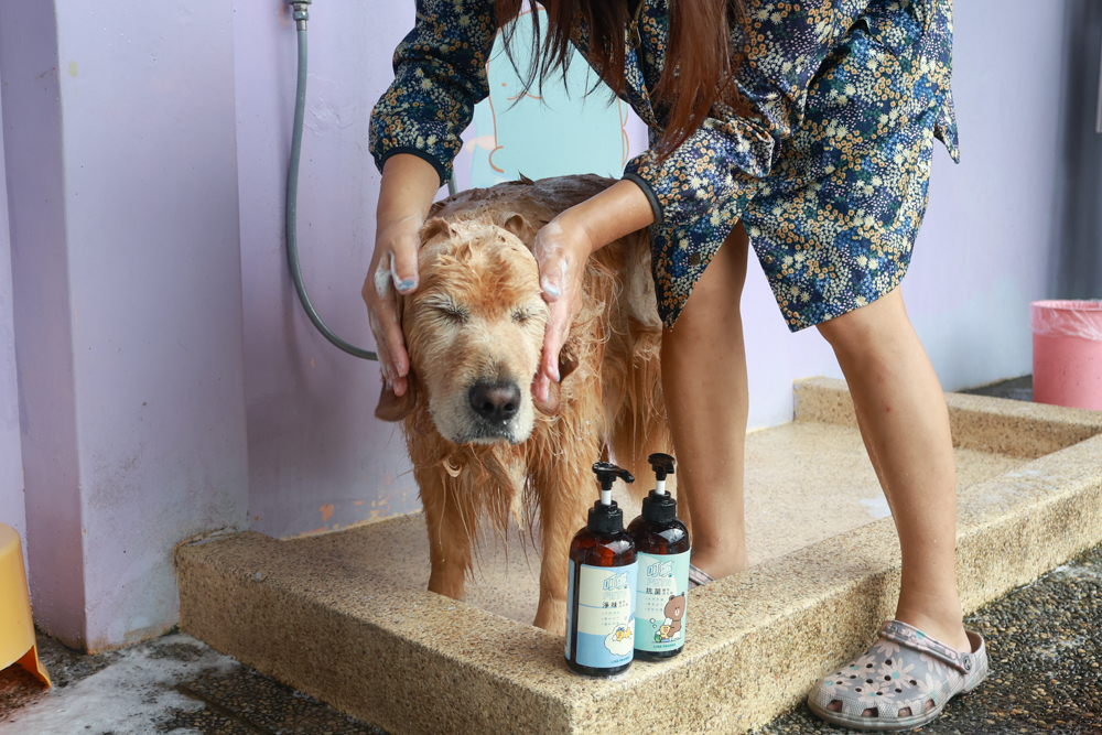 寵物洗毛精、狗狗防蚊蚤噴霧推薦｜叮寧PETS淨味洗毛精＋抗菌洗毛精＋寵物防蚊蚤噴霧！天然配方狗狗也能安心