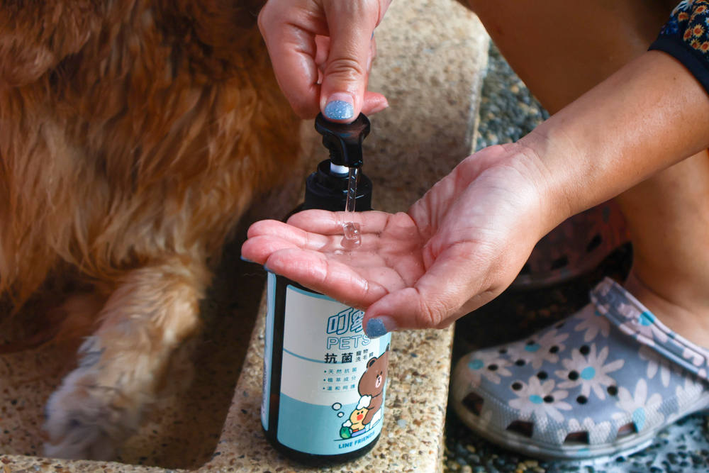 寵物洗毛精、狗狗防蚊蚤噴霧推薦｜叮寧PETS淨味洗毛精＋抗菌洗毛精＋寵物防蚊蚤噴霧！天然配方狗狗也能安心