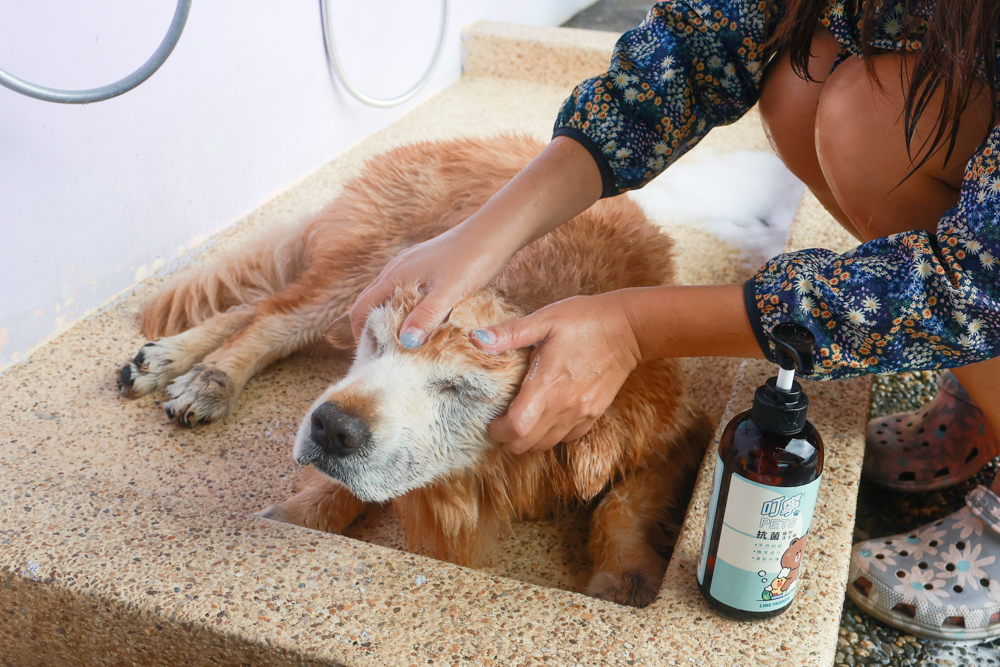 寵物洗毛精、狗狗防蚊蚤噴霧推薦｜叮寧PETS淨味洗毛精＋抗菌洗毛精＋寵物防蚊蚤噴霧！天然配方狗狗也能安心