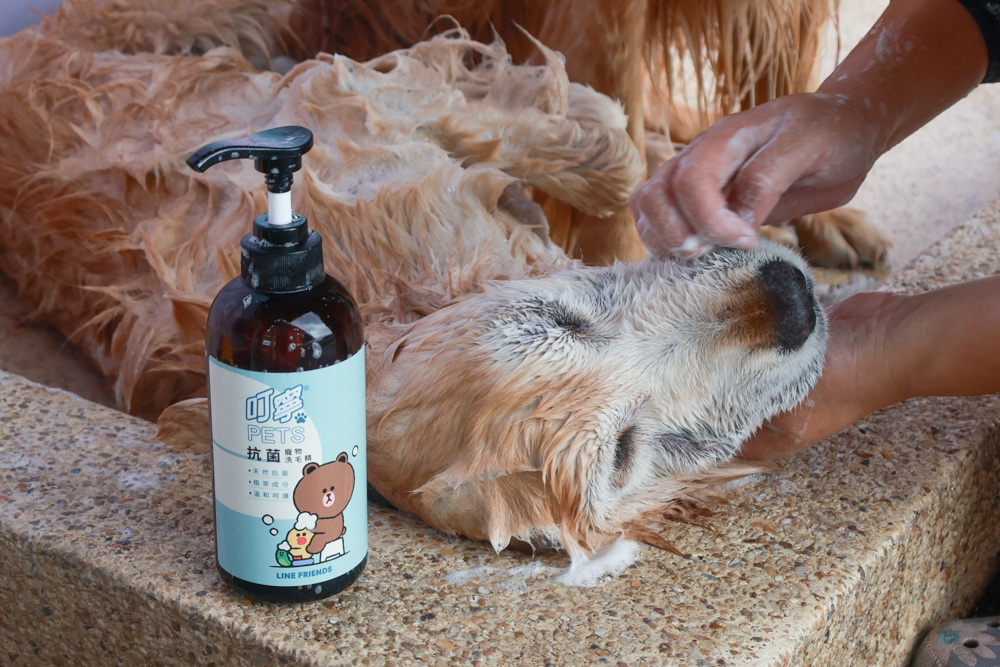 寵物洗毛精、狗狗防蚊蚤噴霧推薦｜叮寧PETS淨味洗毛精＋抗菌洗毛精＋寵物防蚊蚤噴霧！天然配方狗狗也能安心