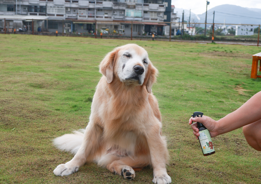 寵物洗毛精、狗狗防蚊蚤噴霧推薦｜叮寧PETS淨味洗毛精＋抗菌洗毛精＋寵物防蚊蚤噴霧！天然配方狗狗也能安心