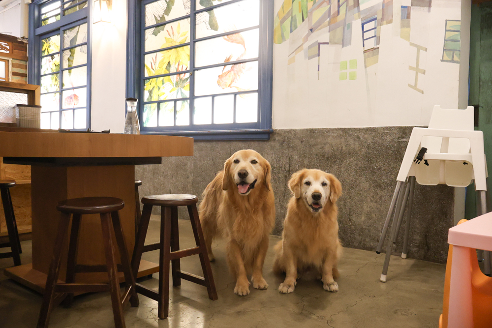 苗栗火鍋推薦｜貢鍋共鍋麻辣火鍋。老洋宅客家麻辣鍋底・手工蛋餃、水晶餃必吃・寵物友善餐廳