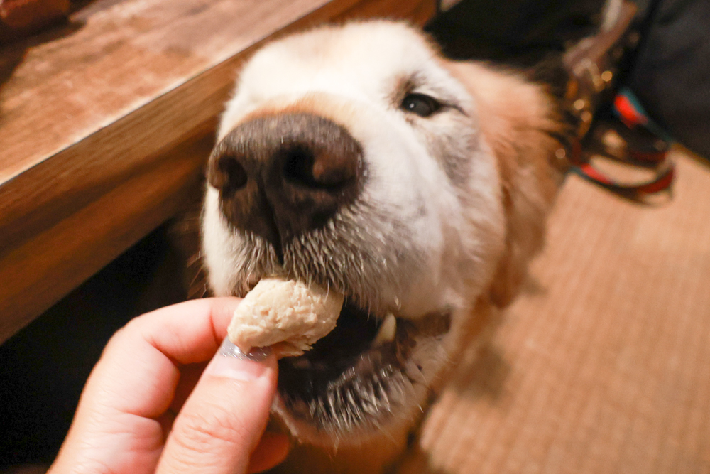 台北東區|金洹苑日式燒肉鍋物放題。台北寵物友善餐廳推薦、和牛螃蟹龍蝦海鮮吃到飽、火烤兩吃、寵物可落地、毛孩鮮食餐 - 第31張圖