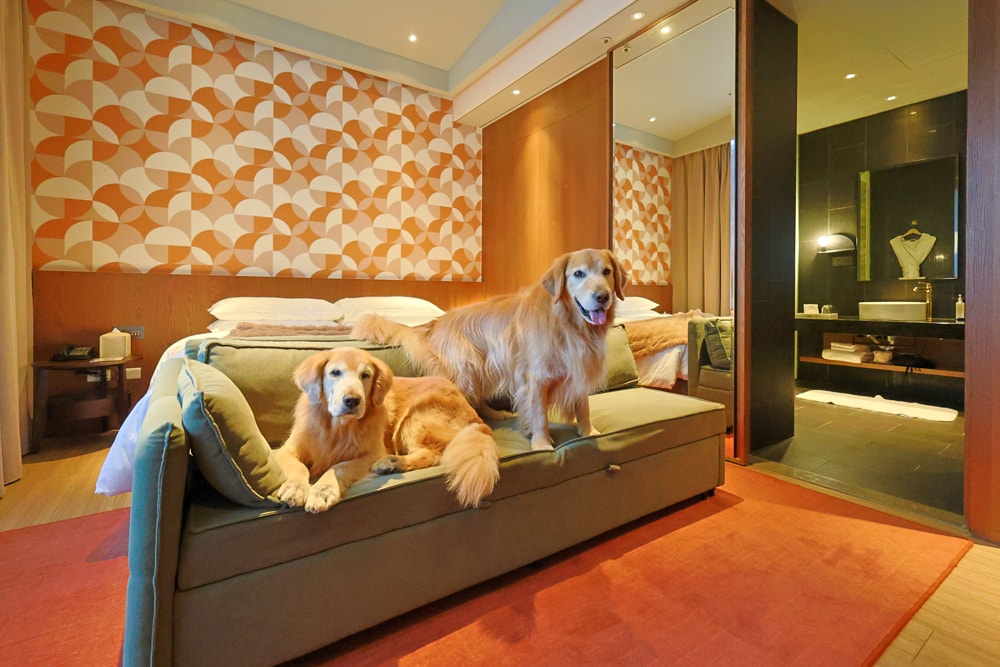 台北大安伊普索凱悅尚選酒店｜EPISODE Daan Taipei 。台北寵物友善飯店、忠孝復興 3 分鐘、音樂主題設計飯店，復古潮流風格、超強 Happy Hour