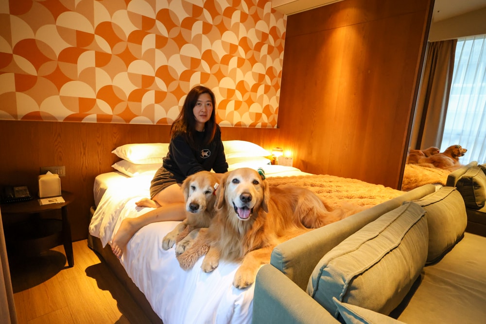 台北大安伊普索凱悅尚選酒店｜EPISODE Daan Taipei 。台北寵物友善飯店、忠孝復興 3 分鐘、音樂主題設計飯店，復古潮流風格、超強 Happy Hour