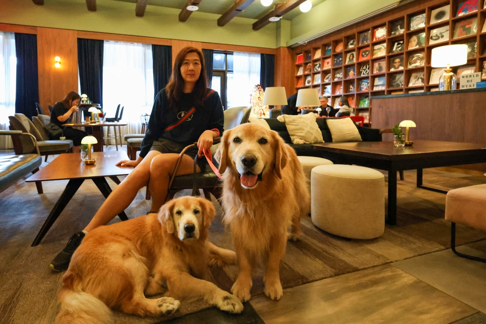 台北大安伊普索凱悅尚選酒店｜EPISODE Daan Taipei 。台北寵物友善飯店、忠孝復興 3 分鐘、音樂主題設計飯店，復古潮流風格、超強 Happy Hour