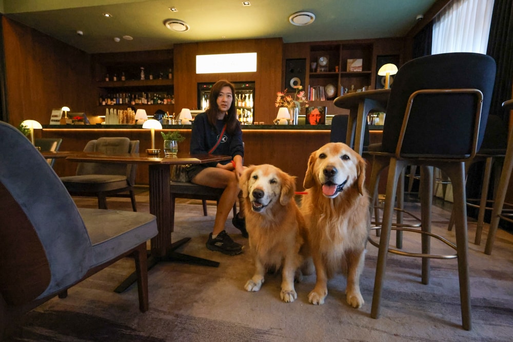 台北大安伊普索凱悅尚選酒店｜EPISODE Daan Taipei 。台北寵物友善飯店、忠孝復興 3 分鐘、音樂主題設計飯店，復古潮流風格、超強 Happy Hour