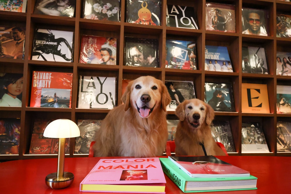 台北大安伊普索凱悅尚選酒店｜EPISODE Daan Taipei 。台北寵物友善飯店、忠孝復興 3 分鐘、音樂主題設計飯店，復古潮流風格、超強 Happy Hour