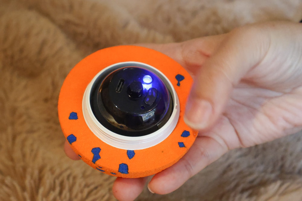 Wally & Woof 狗狗智慧互動玩具推薦｜Ball AIR 智慧互動衝衝球、Wicked EGG 瘋狂不倒蛋、Wicked Rugby 快樂橄欖球、Wicked Rolly 搖滾球。狗狗玩到停不下、放電、追逐、耐咬安全