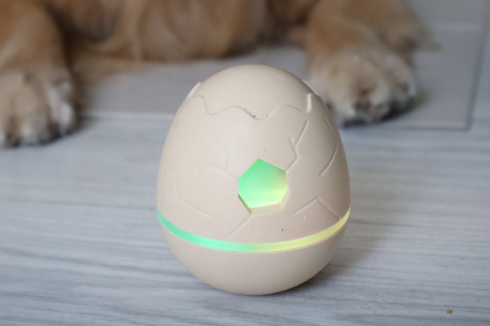 Wally & Woof 狗狗智慧互動玩具推薦|Ball AIR 智慧互動衝衝球、Wicked EGG 瘋狂不倒蛋、Wicked Rugby 快樂橄欖球、Wicked Rolly 搖滾球。狗狗玩到停不下、放電、追逐、耐咬安全 - 第29張圖 Wally & Woof 狗狗智慧互動玩具推薦|Ball AIR 智慧互動衝衝球、Wicked EGG 瘋狂不倒蛋、Wicked Rugby 快樂橄欖球、Wicked Rolly 搖滾球。狗狗玩到停不下、放電、追逐、耐咬安全