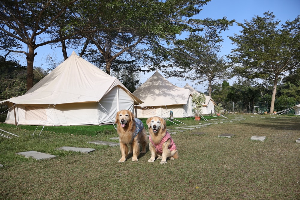 苗栗荒野半島 Glamping ｜湖景第一排豪華露營、一泊二食＋樂團駐唱、寵物友善可帶毛孩