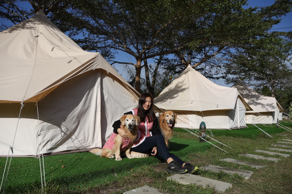 苗栗荒野半島 Glamping ｜湖景第一排豪華露營、一泊二食＋樂團駐唱、寵物友善可帶毛孩