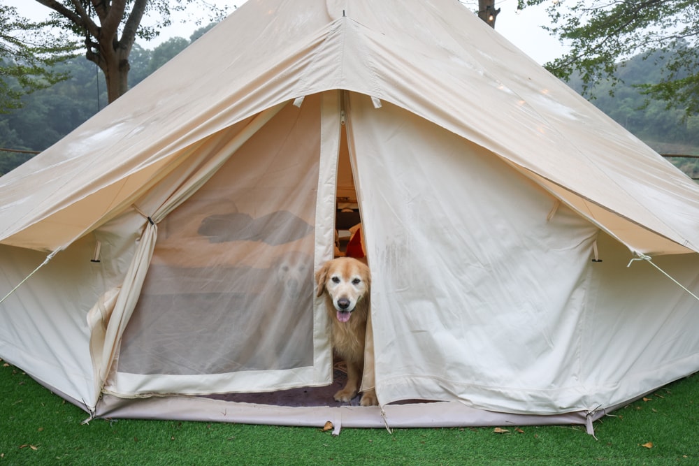 苗栗荒野半島 Glamping ｜湖景第一排豪華露營、一泊二食＋樂團駐唱、寵物友善可帶毛孩