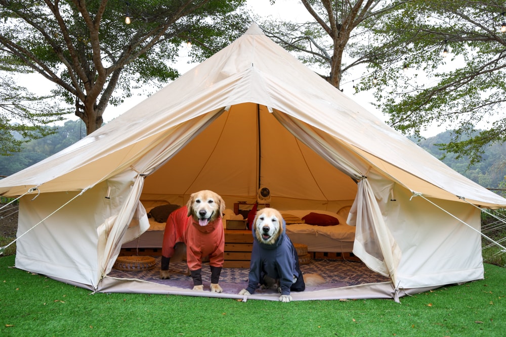 苗栗荒野半島 Glamping ｜湖景第一排豪華露營、一泊二食＋樂團駐唱、寵物友善可帶毛孩