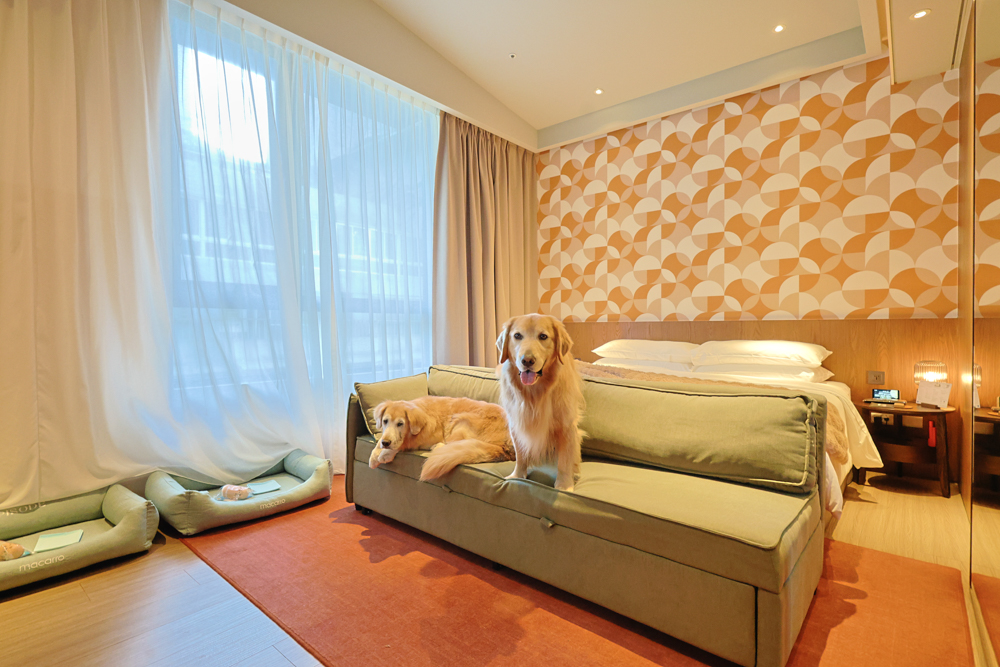 台北大安伊普索凱悅尚選酒店｜EPISODE Daan Taipei 。台北寵物友善飯店、忠孝復興 3 分鐘、音樂主題設計飯店，復古潮流風格、超強 Happy Hour