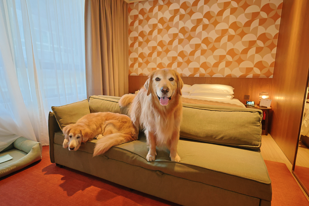 台北大安伊普索凱悅尚選酒店｜EPISODE Daan Taipei 。台北寵物友善飯店、忠孝復興 3 分鐘、音樂主題設計飯店，復古潮流風格、超強 Happy Hour