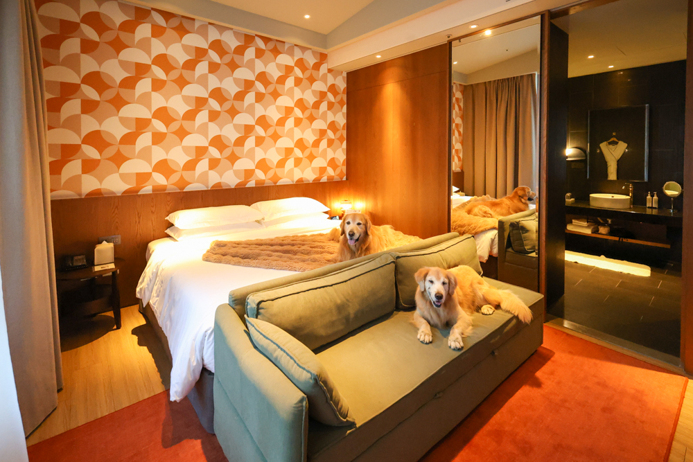 台北大安伊普索凱悅尚選酒店｜EPISODE Daan Taipei 。台北寵物友善飯店、忠孝復興 3 分鐘、音樂主題設計飯店，復古潮流風格、超強 Happy Hour