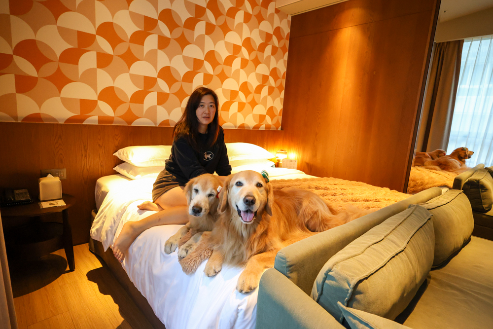 台北大安伊普索凱悅尚選酒店｜EPISODE Daan Taipei 。台北寵物友善飯店、忠孝復興 3 分鐘、音樂主題設計飯店，復古潮流風格、超強 Happy Hour