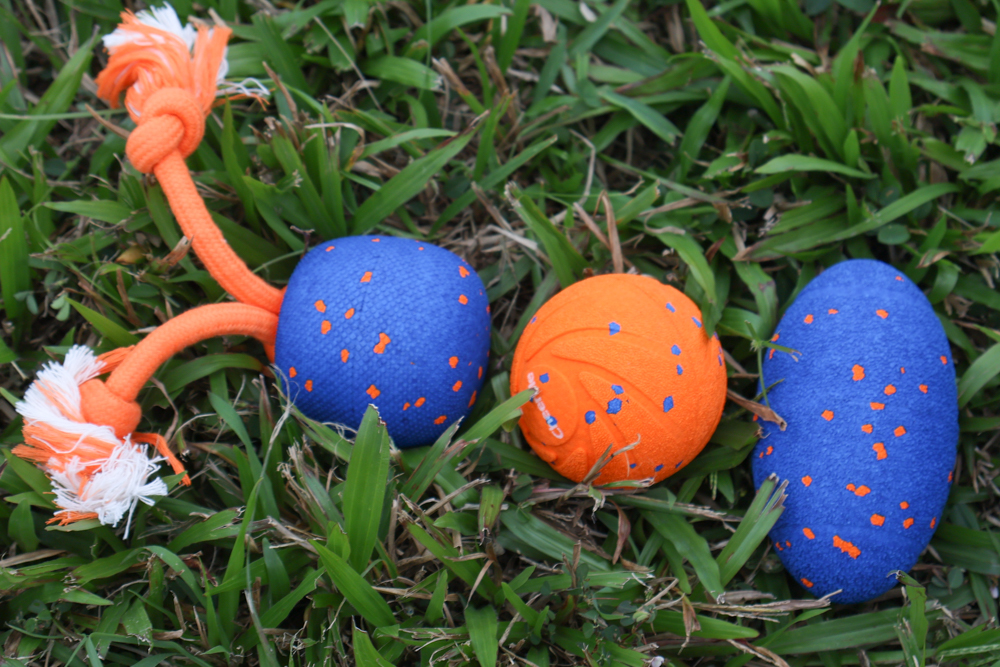 Wally & Woof 狗狗智慧互動玩具推薦|Ball AIR 智慧互動衝衝球、Wicked EGG 瘋狂不倒蛋、Wicked Rugby 快樂橄欖球、Wicked Rolly 搖滾球。狗狗玩到停不下、放電、追逐、耐咬安全 - 第7張圖 Wally & Woof 狗狗智慧互動玩具推薦|Ball AIR 智慧互動衝衝球、Wicked EGG 瘋狂不倒蛋、Wicked Rugby 快樂橄欖球、Wicked Rolly 搖滾球。狗狗玩到停不下、放電、追逐、耐咬安全