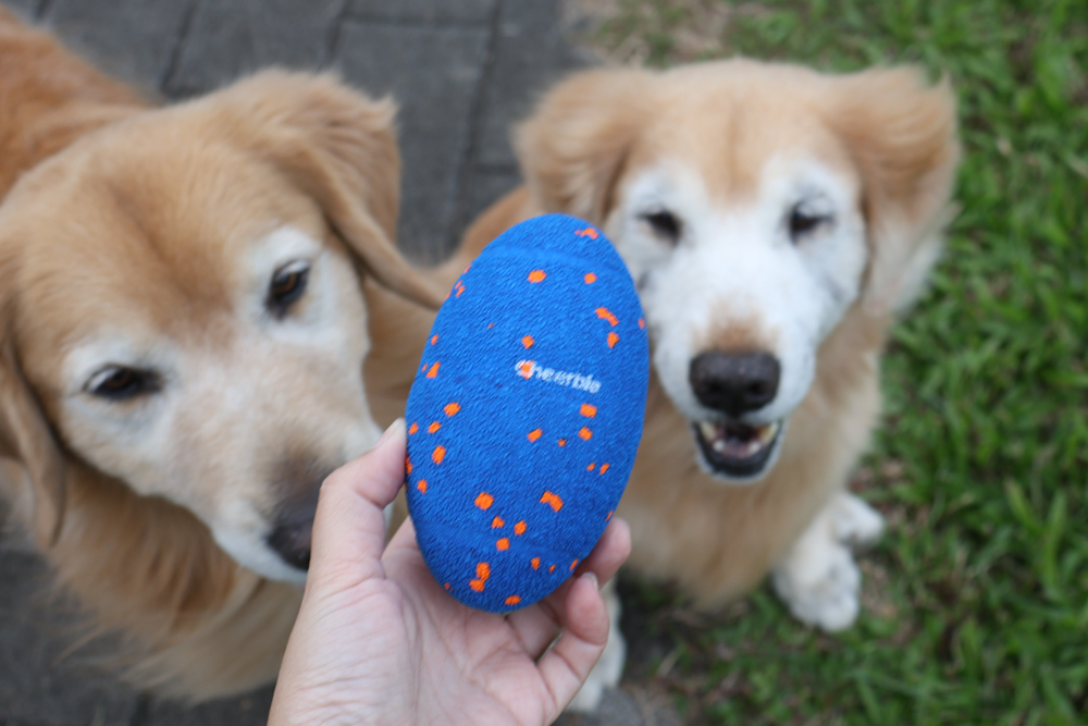 Wally & Woof 狗狗智慧互動玩具推薦|Ball AIR 智慧互動衝衝球、Wicked EGG 瘋狂不倒蛋、Wicked Rugby 快樂橄欖球、Wicked Rolly 搖滾球。狗狗玩到停不下、放電、追逐、耐咬安全 - 第14張圖 Wally & Woof 狗狗智慧互動玩具推薦|Ball AIR 智慧互動衝衝球、Wicked EGG 瘋狂不倒蛋、Wicked Rugby 快樂橄欖球、Wicked Rolly 搖滾球。狗狗玩到停不下、放電、追逐、耐咬安全