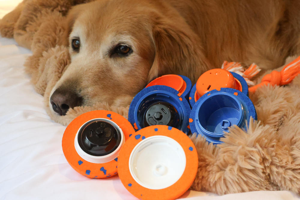 Wally & Woof 狗狗智慧互動玩具推薦|Ball AIR 智慧互動衝衝球、Wicked EGG 瘋狂不倒蛋、Wicked Rugby 快樂橄欖球、Wicked Rolly 搖滾球。狗狗玩到停不下、放電、追逐、耐咬安全 - 第23張圖 Wally & Woof 狗狗智慧互動玩具推薦|Ball AIR 智慧互動衝衝球、Wicked EGG 瘋狂不倒蛋、Wicked Rugby 快樂橄欖球、Wicked Rolly 搖滾球。狗狗玩到停不下、放電、追逐、耐咬安全