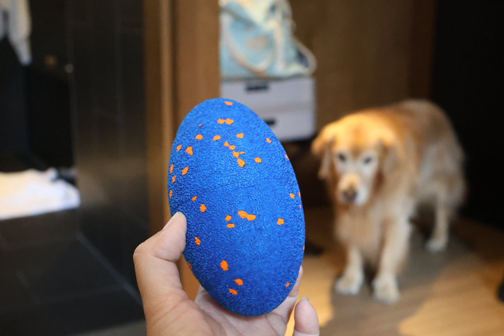 Wally & Woof 狗狗智慧互動玩具推薦|Ball AIR 智慧互動衝衝球、Wicked EGG 瘋狂不倒蛋、Wicked Rugby 快樂橄欖球、Wicked Rolly 搖滾球。狗狗玩到停不下、放電、追逐、耐咬安全 - 第17張圖 Wally & Woof 狗狗智慧互動玩具推薦|Ball AIR 智慧互動衝衝球、Wicked EGG 瘋狂不倒蛋、Wicked Rugby 快樂橄欖球、Wicked Rolly 搖滾球。狗狗玩到停不下、放電、追逐、耐咬安全