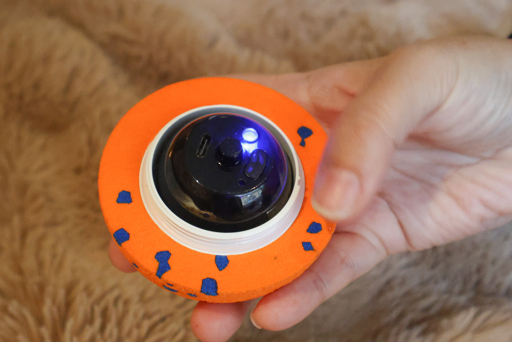 Wally & Woof 狗狗智慧互動玩具推薦｜Ball AIR 智慧互動衝衝球、Wicked EGG 瘋狂不倒蛋、Wicked Rugby 快樂橄欖球、Wicked Rolly 搖滾球。狗狗玩到停不下、放電、追逐、耐咬安全