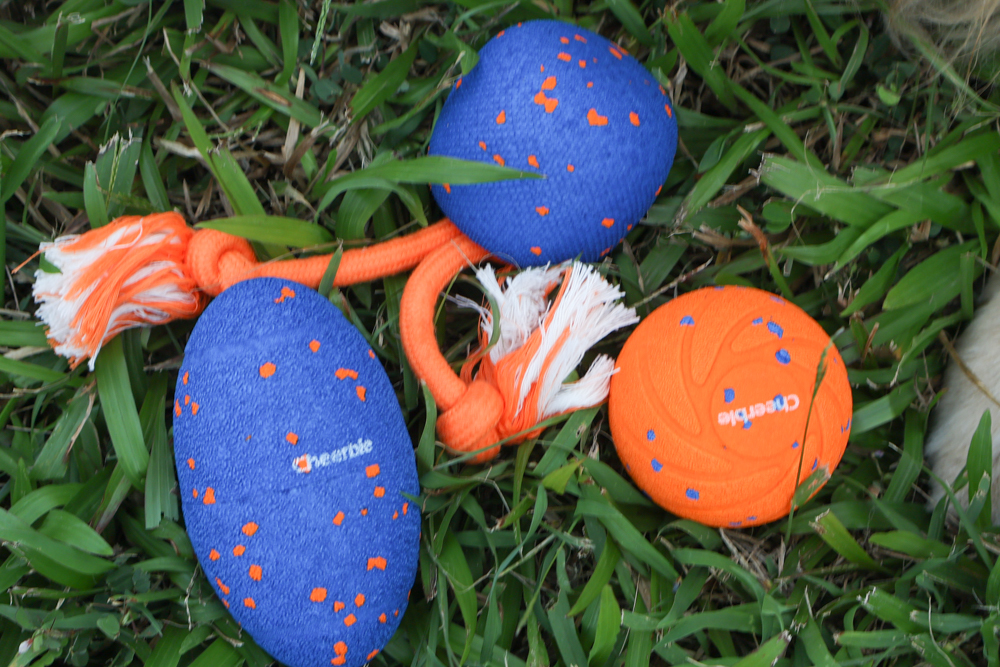 Wally & Woof 狗狗智慧互動玩具推薦|Ball AIR 智慧互動衝衝球、Wicked EGG 瘋狂不倒蛋、Wicked Rugby 快樂橄欖球、Wicked Rolly 搖滾球。狗狗玩到停不下、放電、追逐、耐咬安全 - 第6張圖 Wally & Woof 狗狗智慧互動玩具推薦|Ball AIR 智慧互動衝衝球、Wicked EGG 瘋狂不倒蛋、Wicked Rugby 快樂橄欖球、Wicked Rolly 搖滾球。狗狗玩到停不下、放電、追逐、耐咬安全