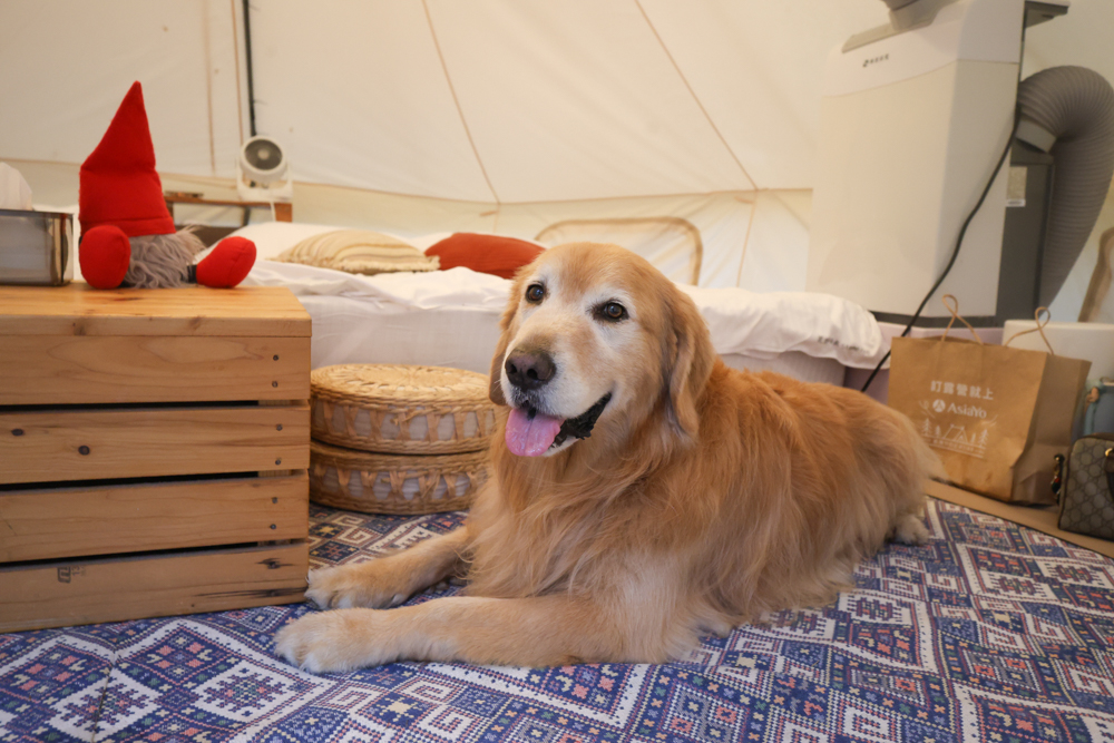 苗栗荒野半島 Glamping |湖景第一排豪華露營、一泊二食+樂團駐唱、寵物友善可帶毛孩 - 第15張圖 苗栗荒野半島 Glamping |湖景第一排豪華露營、一泊二食+樂團駐唱、寵物友善可帶毛孩