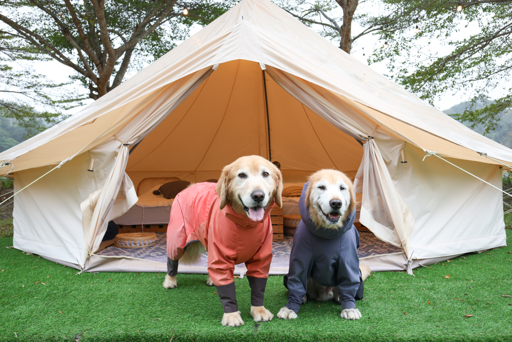 苗栗荒野半島 Glamping |湖景第一排豪華露營、一泊二食+樂團駐唱、寵物友善可帶毛孩 - 第11張圖 苗栗荒野半島 Glamping |湖景第一排豪華露營、一泊二食+樂團駐唱、寵物友善可帶毛孩
