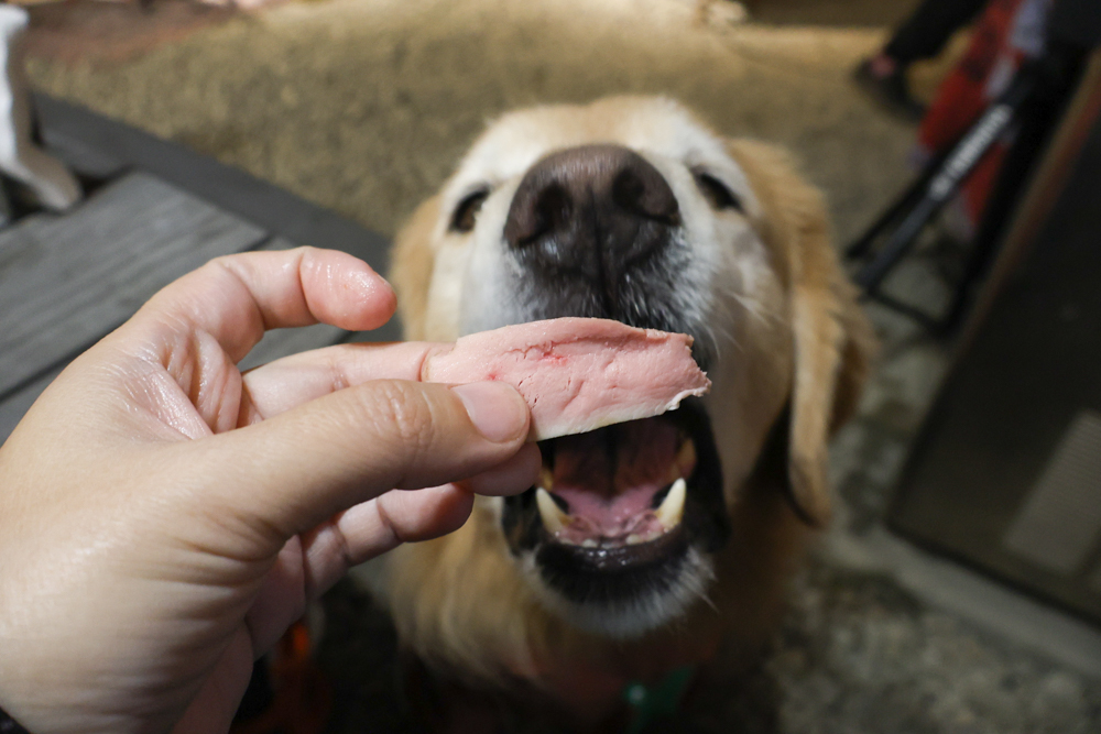 苗栗荒野半島 Glamping |湖景第一排豪華露營、一泊二食+樂團駐唱、寵物友善可帶毛孩 - 第37張圖 苗栗荒野半島 Glamping |湖景第一排豪華露營、一泊二食+樂團駐唱、寵物友善可帶毛孩
