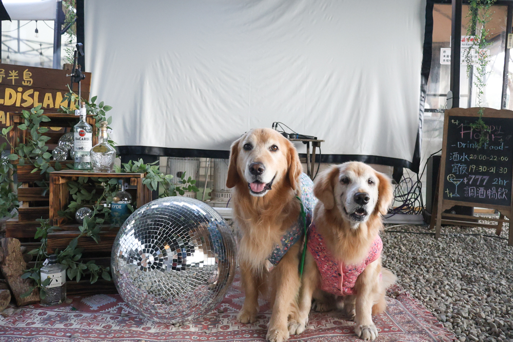 苗栗荒野半島 Glamping |湖景第一排豪華露營、一泊二食+樂團駐唱、寵物友善可帶毛孩 - 第45張圖 苗栗荒野半島 Glamping |湖景第一排豪華露營、一泊二食+樂團駐唱、寵物友善可帶毛孩
