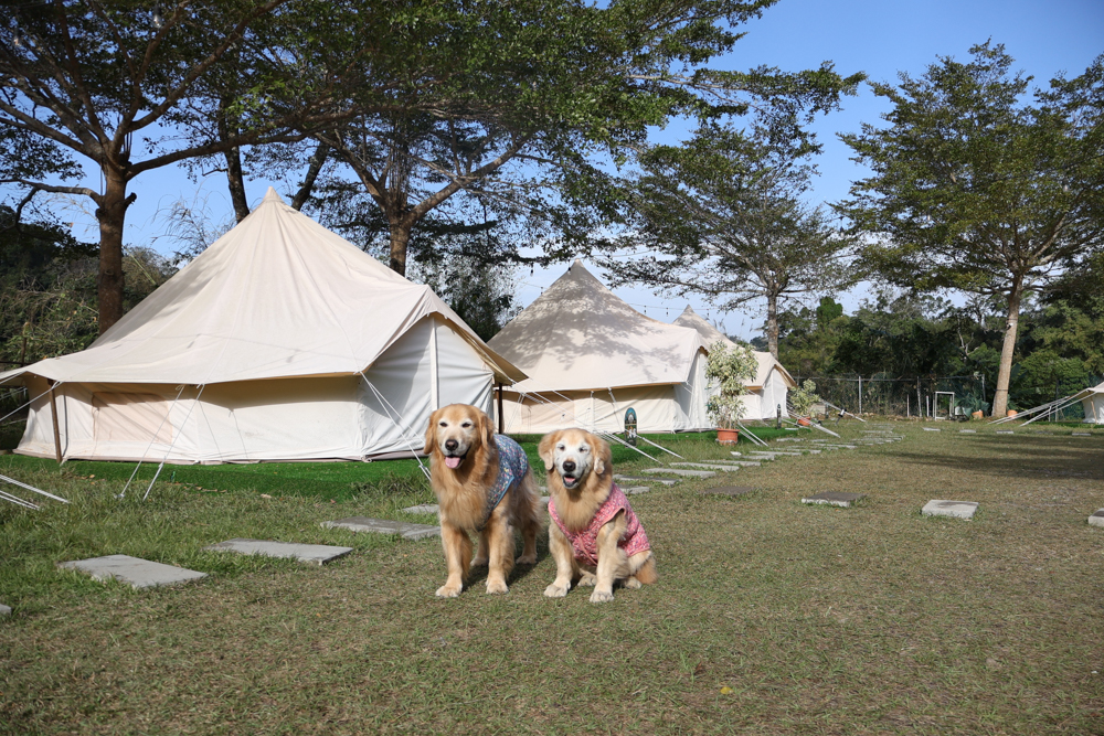 苗栗荒野半島 Glamping |湖景第一排豪華露營、一泊二食+樂團駐唱、寵物友善可帶毛孩 - 第7張圖 苗栗荒野半島 Glamping |湖景第一排豪華露營、一泊二食+樂團駐唱、寵物友善可帶毛孩