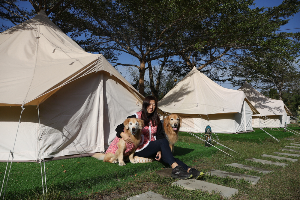 苗栗荒野半島 Glamping |湖景第一排豪華露營、一泊二食+樂團駐唱、寵物友善可帶毛孩 - 第58張圖 苗栗荒野半島 Glamping |湖景第一排豪華露營、一泊二食+樂團駐唱、寵物友善可帶毛孩