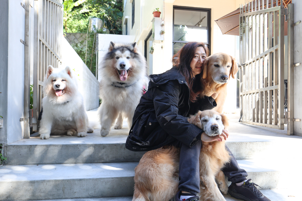 觀山咖啡。五股觀音山秘境咖啡廳|老屋改造、寵物友善、現烤披薩與甜點一次滿足 - 第19張圖 觀山咖啡。五股觀音山秘境咖啡廳|老屋改造、寵物友善、現烤披薩與甜點一次滿足