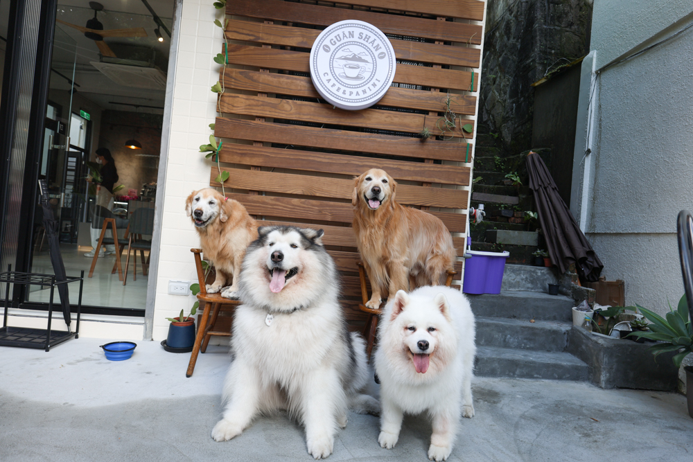 觀山咖啡。五股觀音山秘境咖啡廳|老屋改造、寵物友善、現烤披薩與甜點一次滿足 - 第2張圖 觀山咖啡。五股觀音山秘境咖啡廳|老屋改造、寵物友善、現烤披薩與甜點一次滿足