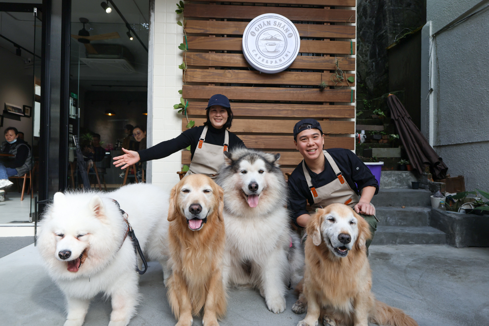 觀山咖啡。五股觀音山秘境咖啡廳|老屋改造、寵物友善、現烤披薩與甜點一次滿足 - 第20張圖 觀山咖啡。五股觀音山秘境咖啡廳|老屋改造、寵物友善、現烤披薩與甜點一次滿足