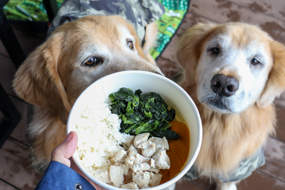 台北寵物友善自助餐推薦|台北六福萬怡酒店敘日全日餐廳。生食級干貝柱+香箱蟹一次滿足、寵物友善自助餐buffet - 第17張圖 台北寵物友善自助餐推薦|台北六福萬怡酒店敘日全日餐廳。生食級干貝柱+香箱蟹一次滿足、寵物友善自助餐buffet