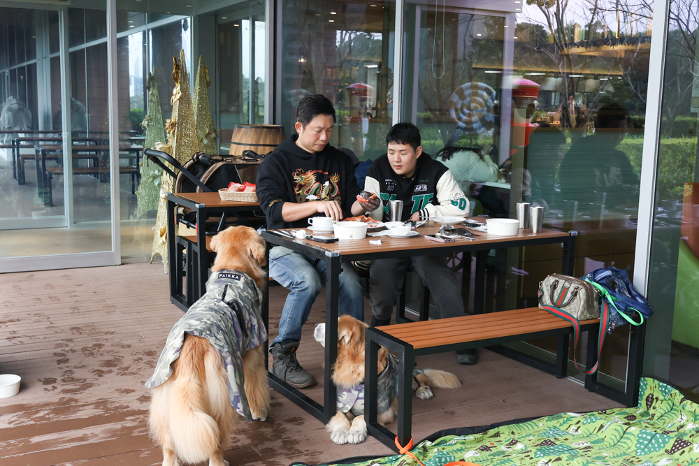 台北寵物友善自助餐推薦|台北六福萬怡酒店敘日全日餐廳。生食級干貝柱+香箱蟹一次滿足、寵物友善自助餐buffet - 第15張圖 台北寵物友善自助餐推薦|台北六福萬怡酒店敘日全日餐廳。生食級干貝柱+香箱蟹一次滿足、寵物友善自助餐buffet