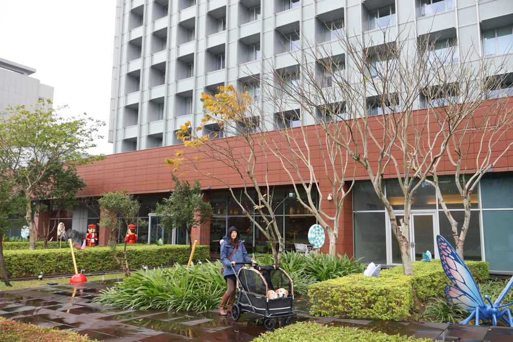 台北寵物友善自助餐推薦|台北六福萬怡酒店敘日全日餐廳。生食級干貝柱+香箱蟹一次滿足、寵物友善自助餐buffet - 第3張圖 台北寵物友善自助餐推薦|台北六福萬怡酒店敘日全日餐廳。生食級干貝柱+香箱蟹一次滿足、寵物友善自助餐buffet